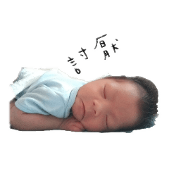 小譽小豬