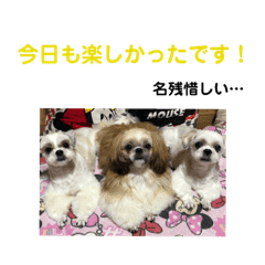 うちの仔スタンプ 犬 2 Line スタンプ Line Store