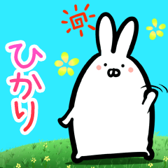 Hikari every day rabbit