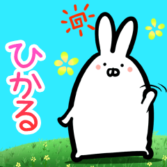 Hikaru every day rabbit