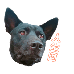 哈囉 我是安安