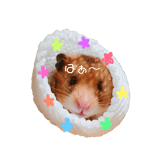 natsumi_20190110011547