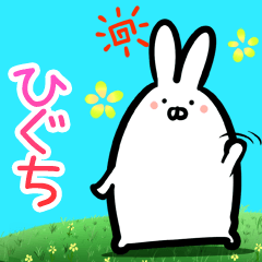 Higuchi every day rabbit