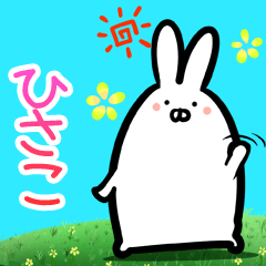 Hisako every day rabbit