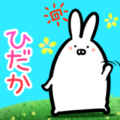 Hidaka every day rabbit