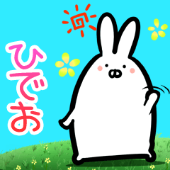 Hideo every day rabbit