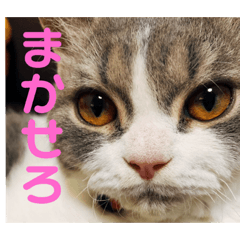 NORA_201901111313