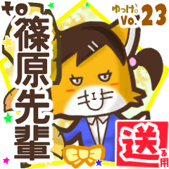 Lovely fox's name sticker2 MY120119N27