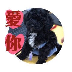 芋仔咪醬這一家