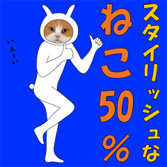 Stylish Cat 50%