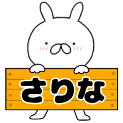 A dedicated name rabbit Sarina