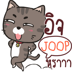 JOOP charcoal meow e