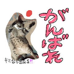 BARA_20190111185130