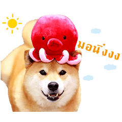 SHIBA MARU
