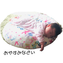 ringo_20190111201824