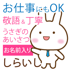 shiraishi _polite greetings Rabbit