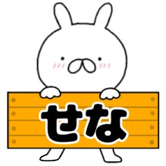 A dedicated name rabbit Sena