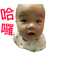 林佑安_胖虎