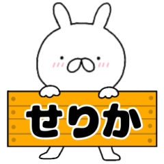 A dedicated name rabbit Serika