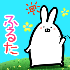 Furuta every day rabbit
