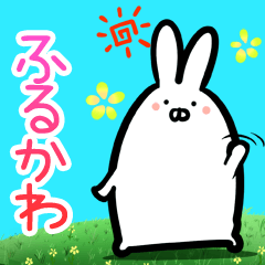 Furukawa every day rabbit