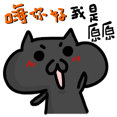 Talkative fat cat-YuanYuan