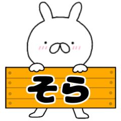 A dedicated name rabbit Sora