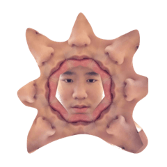 bunja
