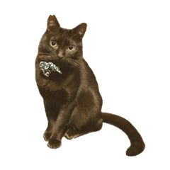 ちゃいろいねこ麦茶 Line スタンプ Line Store ちゃいろいねこ麦茶 Line スタンプ Line Store