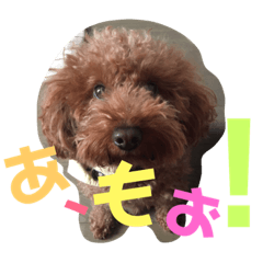 yuina_20190114032605