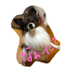 ayumi_20190114120324