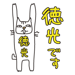 Only for Mr. Tokumitsu Banzai Cat