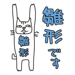 Only for Mr. Hinagata Banzai Cat