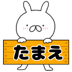 A dedicated name rabbit Tamae