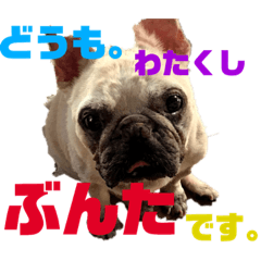 yuma_20190114025310