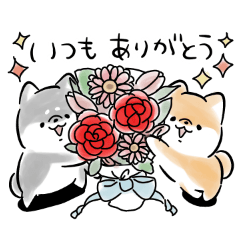 Shiba Inu Dog <caring and love>