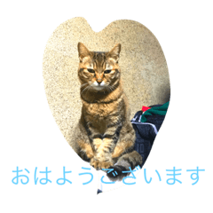Miyabi_20190113140252
