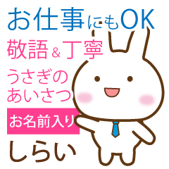 shirai _polite greetings Rabbit