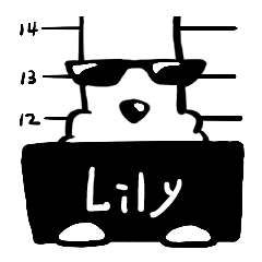 Mr.A dog_576 Lily
