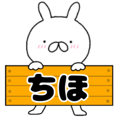A dedicated name rabbit Tiho