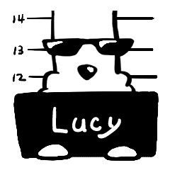Mr.A dog_579 Lucy