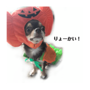 Coco Chaco