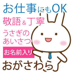 ogasawara_polite greetings Rabbit