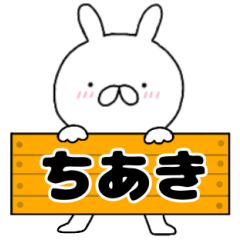 A dedicated name rabbit Tiaki