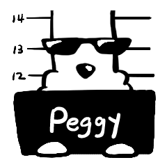 Mr.A dog_587 Peggy