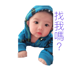 獅子王寶寶