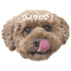 akari_cookie
