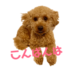 sei_20190114
