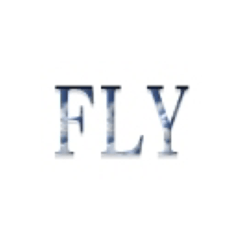 FLY ENGLISH WORDS 40 STICKERS