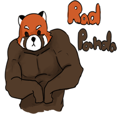 Red panda bodybuilder